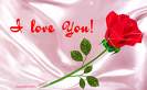 LoVe PoUr tOuT